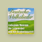 Brahmsquartett