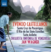 Venezuela Symphony Orchestra - Santa Cruz de Pacairigua