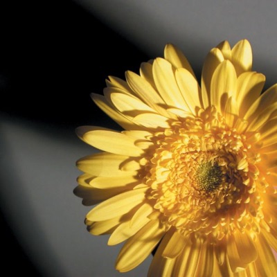 Moonglow / This Bitter Earth 7 - Single