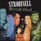En Amzer 'oan Den Yaouank - Strobinell lyrics