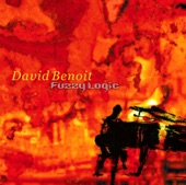 David Benoit - Fuzzy Logic