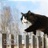 Catwalk (Original Edit)