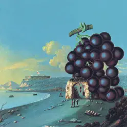 Wow (Bonus Track Version) - Moby Grape