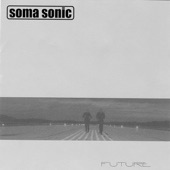 Crazy Moon by Soma Sonic