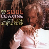 The John Schroeder Orchestra - Sunny