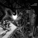 The Execution Suspended Animation Single