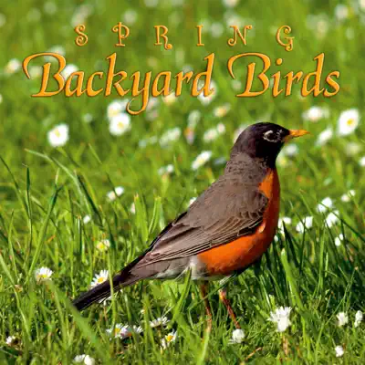 Слушать: Naturescapes Music — Spring Backyard Birds