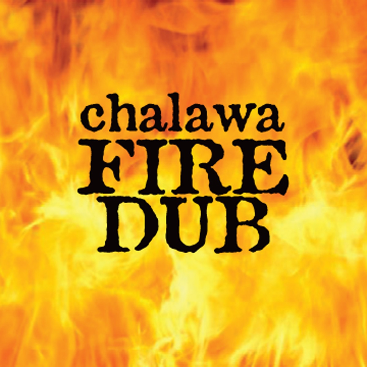 Fire Dub cover art