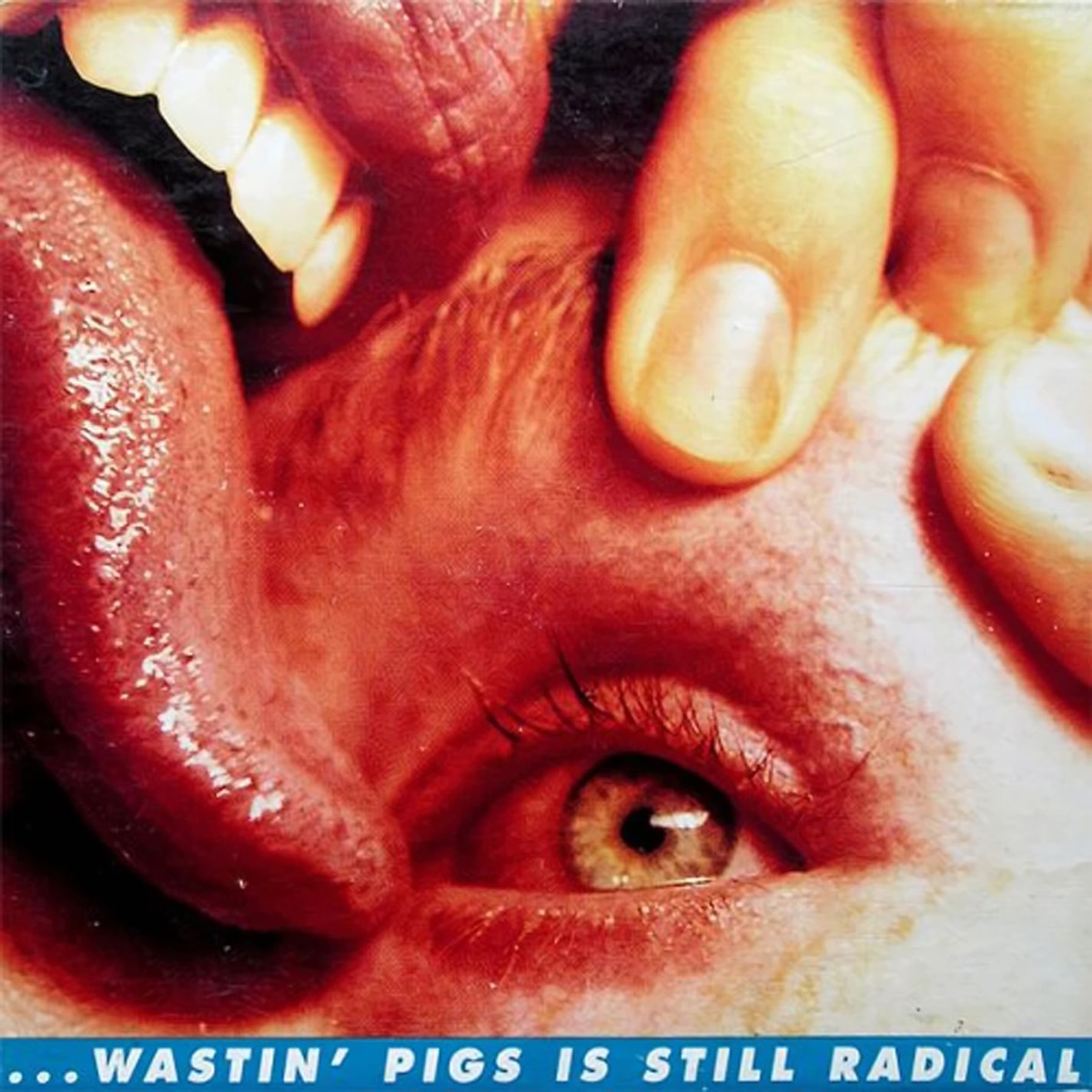 Wastin' Pigs is Still Radical - EP cover art