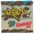 The Experience
