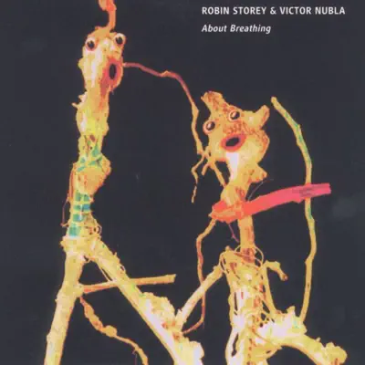 Listen to About Breathing by Robin Storey & Victor Nubla