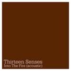 Into the Fire (Acoustic) - Single