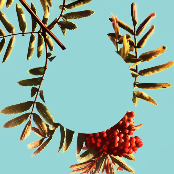 Felejts / Cuore - Single