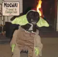 Travel Is Dangerous