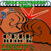 Cover art for Cell Block Linkup, Vol. 3 by Sizzla, Natural Black & Turbulence