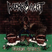 Shark Attack artwork