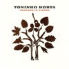 Toninho Horta & William Galison - Vento
