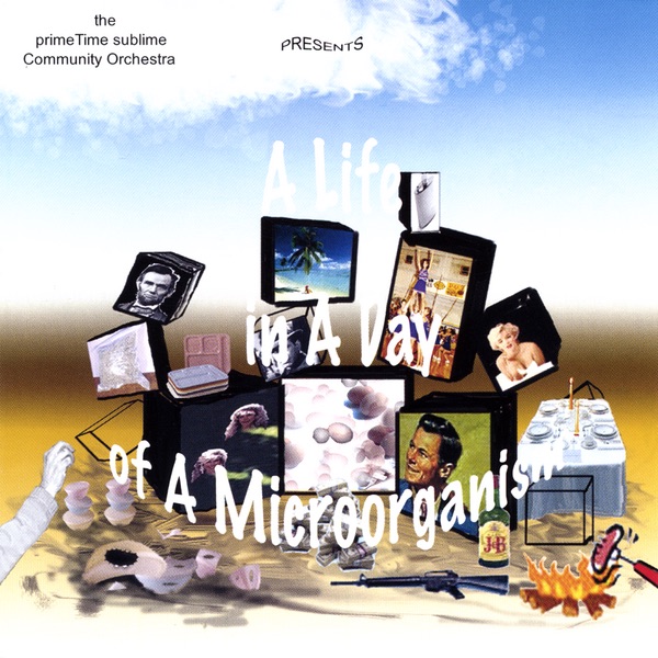 A Life in a Day of a Microorganism