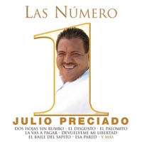 Las Número 1 De: Julio Preciado - Julio Preciado