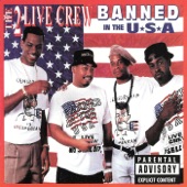 Banned In the USA artwork