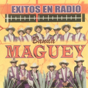 Exitos en Radio