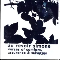 Through The Backyards — Au Revoir Simone