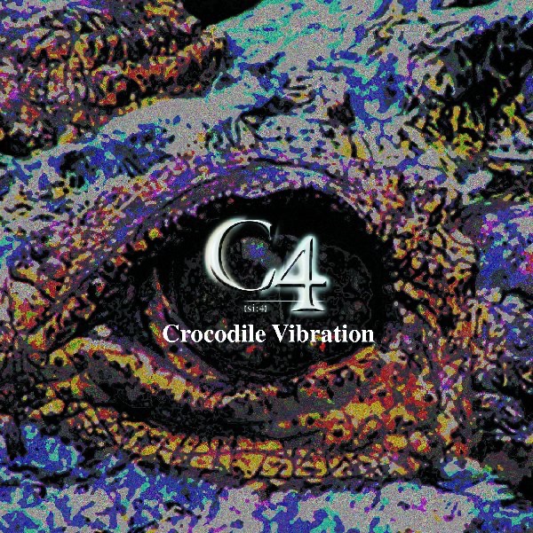 LUNA SEA MEMORIAL COVER ALBUM -Re:birth- - Various Artistsの