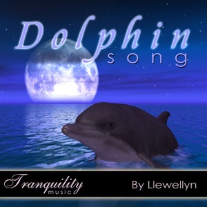 Dolphin Song