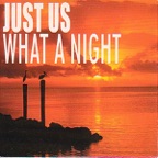 What a Night (Andy Van & John Course Vocal Edit)
