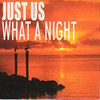 What a Night (Andy Van & John Course Vocal Edit)