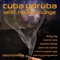 Cuban Summer (Feat.ivan St.ives) [Salsa Mix] - Rikhy Ray lyrics