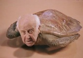 Video artwork for Frontier Psychiatrist by The Avalanches