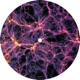 Signals EP