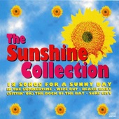 The Sunshine Collection - 18 Songs for a Sunny Day (Rerecorded Version) artwork