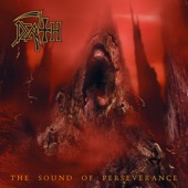 Death - Flesh and the Power It Holds