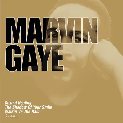 Collections - Marvin Gaye