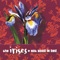Lo-Fi Girl - The Irises lyrics