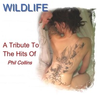 A Tribute to the Hits of Phil Collins - Wildlife