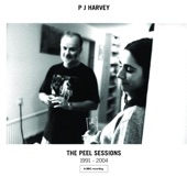 The Peel Sessions 1991 - 2004, 2006