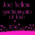 Synchronisation Of Love