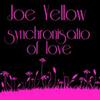 Synchronisation Of Love (Vocal) — Joe Yellow