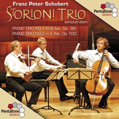 Piano Trio No. 2 In e Flat Major, Op. 100, D. 929: II. Andante Con Moto-thumbnail