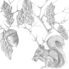 7 Year Rabbit Cycle - This Makes Me a Barn Burner