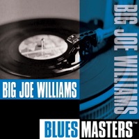 Blues Masters: Big Joe Williams - Big Joe Williams