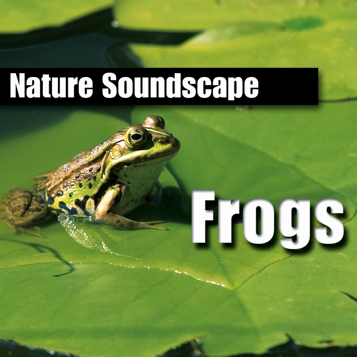 ‎Frogs (Nature Sounds Only) - Album by Nature Sounds - Apple Music
