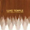 Luke Temple - Make Right With You