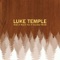 Make Right With You - Luke Temple lyrics