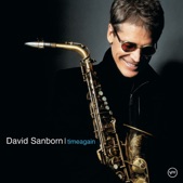 David Sanborn - Cristo Redentor