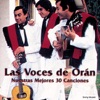 El que toca nunca baila