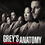 Grey's Anatomy, Season 8 (subtitled)